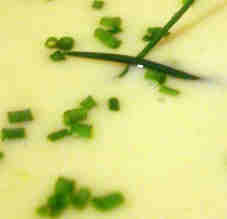 Leek and Bacon Soup