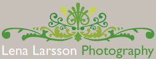 Lena Larsson Logo